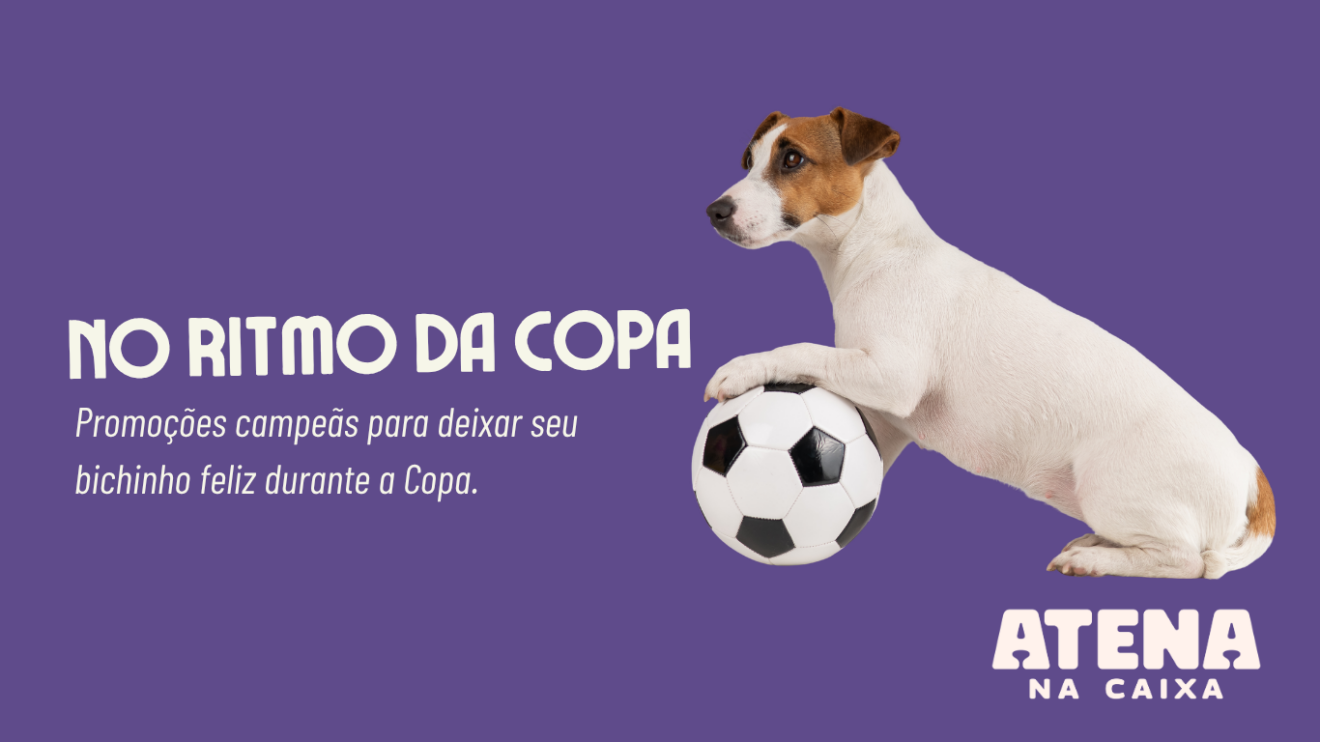teste1